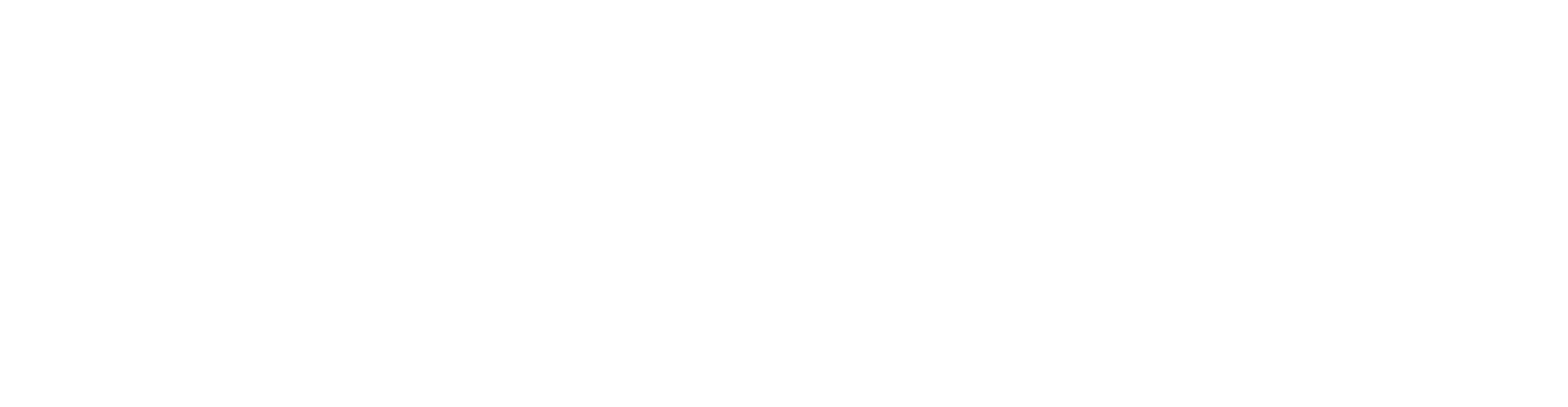 logo FRISA aerospace