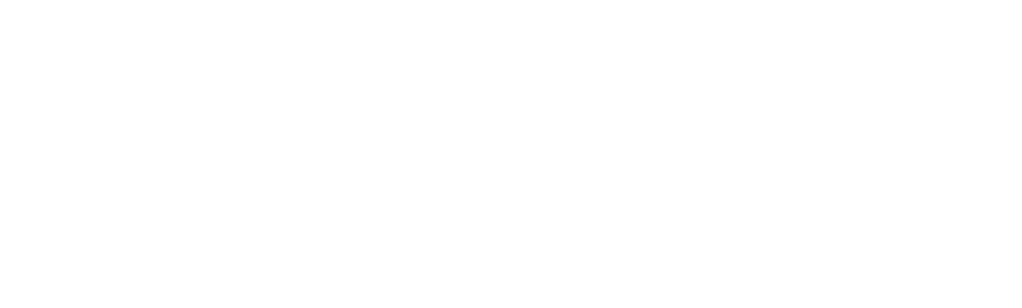 logo frisa forge