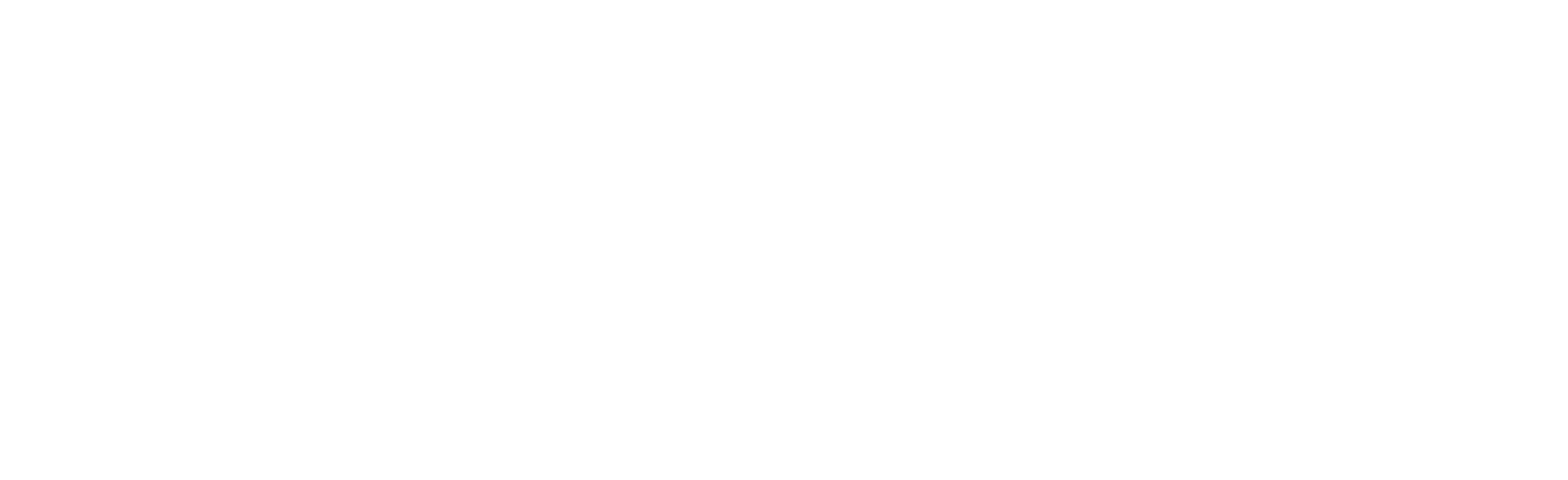 logo frisa steel