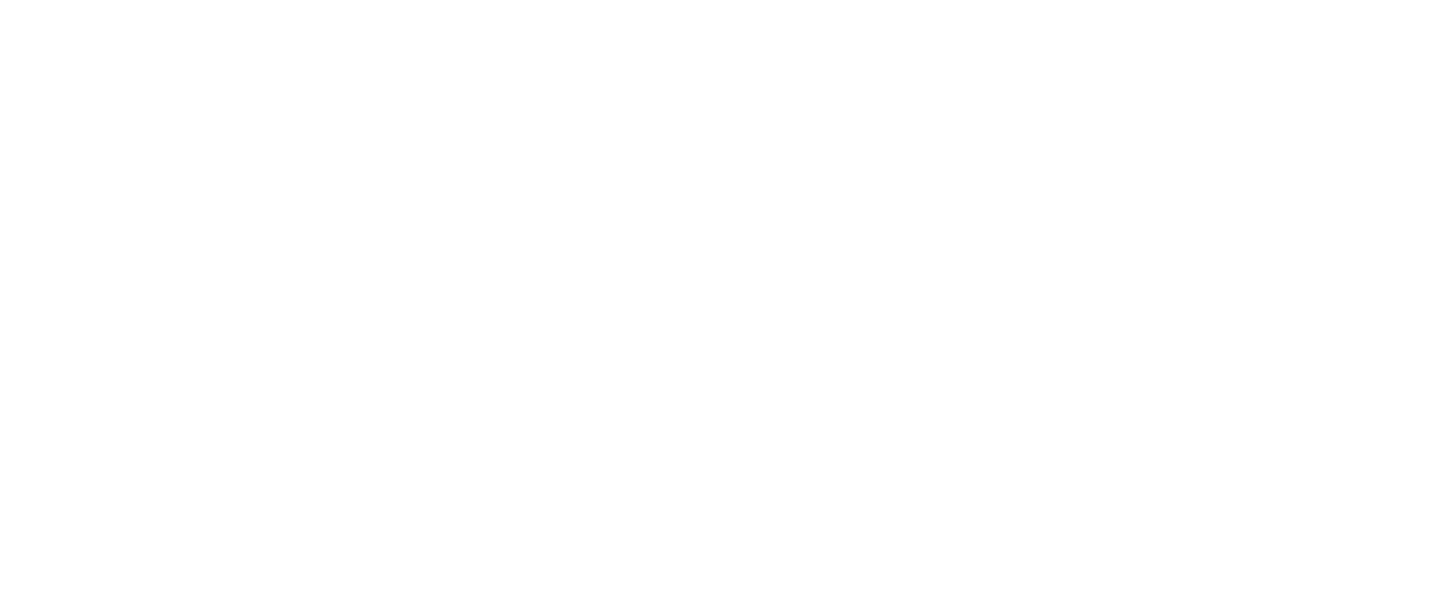 logo FRISA